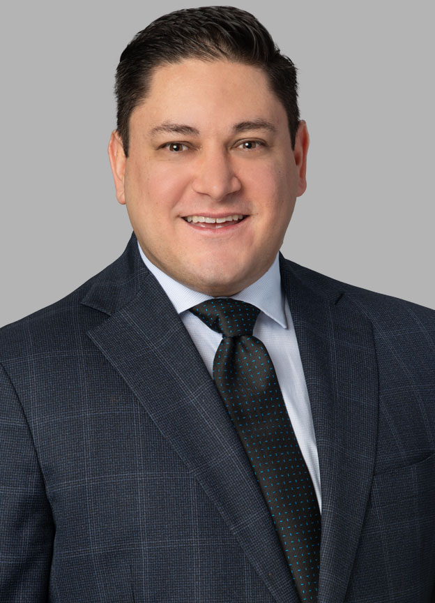 Dominique Mannella, Lawyer