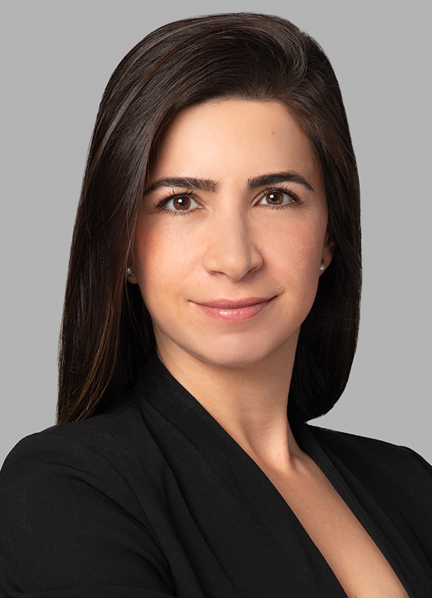 Sara Korhani, Partner, Lawyer