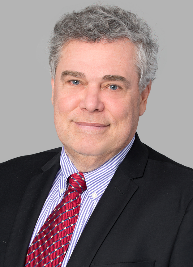 Guy Plante, Partner, Lawyer