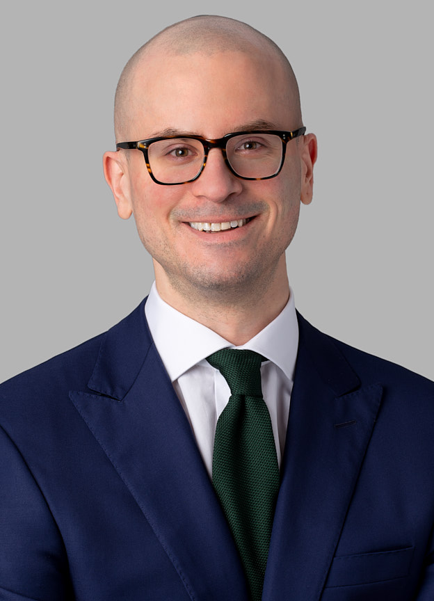 Luka Pavlovic, Lawyer